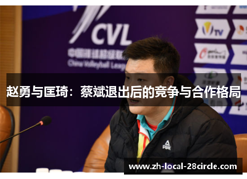 赵勇与匡琦：蔡斌退出后的竞争与合作格局