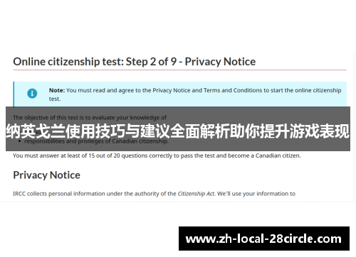 纳英戈兰使用技巧与建议全面解析助你提升游戏表现