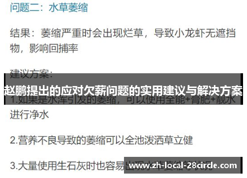 赵鹏提出的应对欠薪问题的实用建议与解决方案 赵鹏提出的应对欠薪问题的实用建议与解决方案