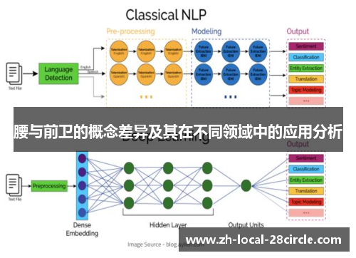 腰与前卫的概念差异及其在不同领域中的应用分析